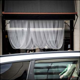 Green sleeves Color Awards Winners and Nominees