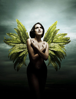 Go Green Color Awards Winners and Nominees