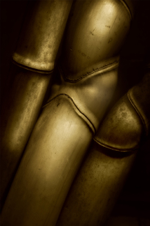 Bamboo Color Awards Winners and Nominees