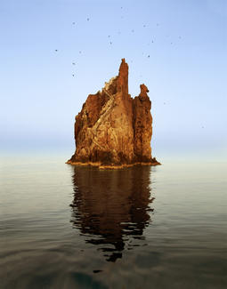 Devil Island Color Awards Winners and Nominees