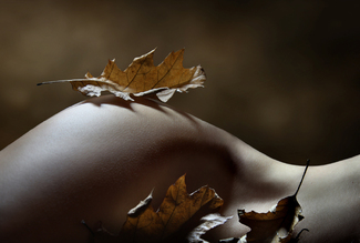 automn III Color Awards Winners and Nominees