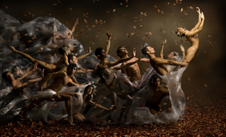 Automn Wind Color Awards Winners and Nominees