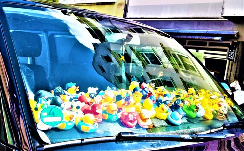 Ducks Ducks