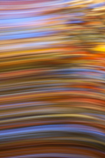 Autumn Gallery Color Awards Winners and Nominees