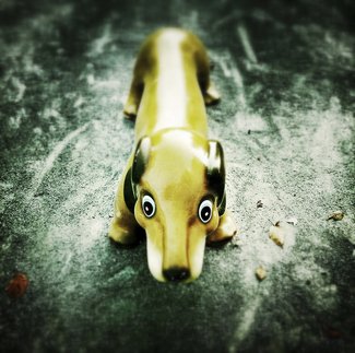 Dog Color Awards Winners and Nominees