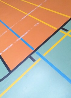 Basketball Court Color Awards Winners and Nominees