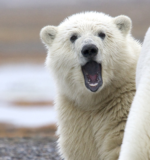 Say Ahhhh... Color Awards Winners and Nominees