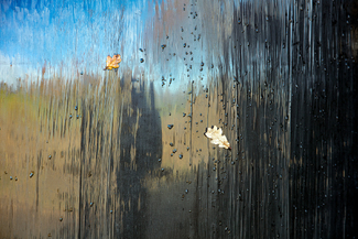 Drops Color Awards Winners and Nominees