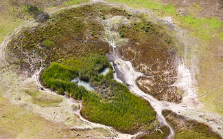 The Head Color Awards Winners and Nominees