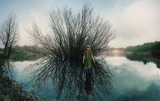 Oosterplas - wilow Color Awards Winners and Nominees