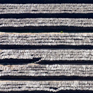 Hope Color Awards Winners and Nominees