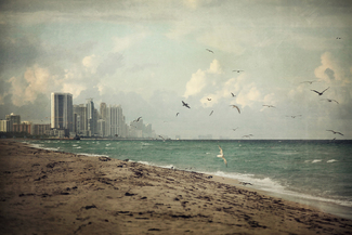 Lost World Color Awards Winners and Nominees