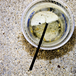 Cup with Fly Color Awards Winners and Nominees