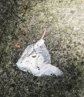 Flotsam-Tissue Color Awards Winners and Nominees