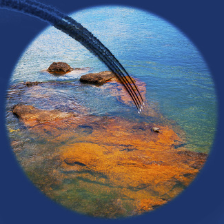 Military Vs Nature Color Awards Winners and Nominees