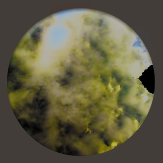 Troubled Skies Color Awards Winners and Nominees