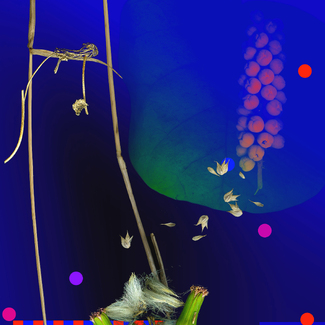 Night Conversations 9 Color Awards Winners and Nominees