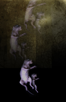 Ascension 2 Color Awards Winners and Nominees