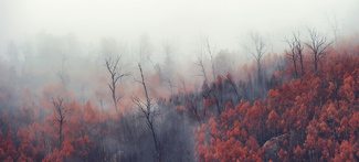 Gibralter Fires Color Awards Winners and Nominees
