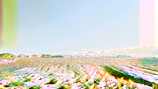 chromadunes Color Awards Winners and Nominees