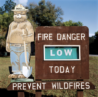 Smokey Color Awards Winners and Nominees