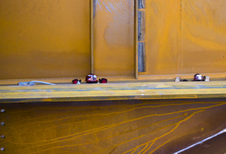 Iron Workers Color Awards Winners and Nominees