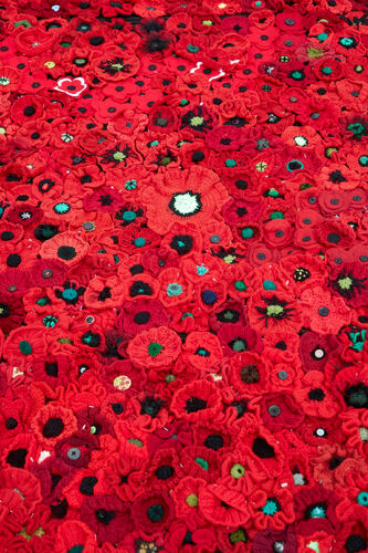 Hand knitted Poppies Hand knitted Poppies