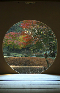 Meigetsuin Garden Kamakura Color Awards Winners and Nominees