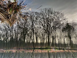 A dark and wet december Color Awards Winners and Nominees