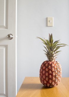 Pineapple Color Awards Winners and Nominees