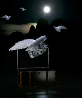 CAGES OF LIBERTY Color Awards Winners and Nominees