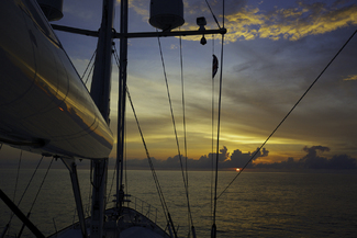 First Light Color Awards Winners and Nominees