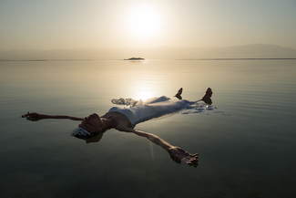 Bird Color Awards Winners and Nominees