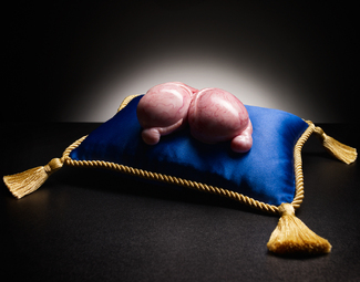 Family Jewels Color Awards Winners and Nominees