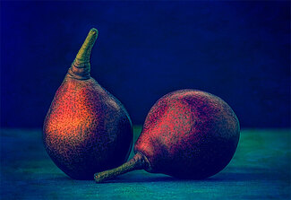 Pears Color Awards Winners and Nominees