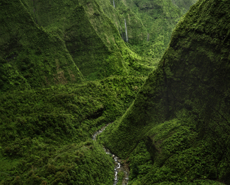 Waialeale Crater Color Awards Winners and Nominees