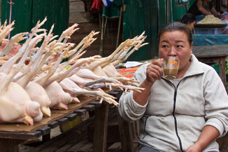 Laos, Luang Prabang Color Awards Winners and Nominees
