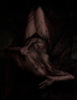 Metamorphosis Color Awards Winners and Nominees