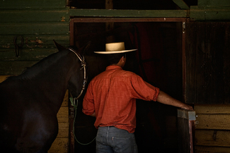 Chilean Cowboy Color Awards Winners and Nominees