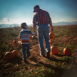 Dreams of our Childhoods: Pumpkin Patch Color Awards Winners and Nominees