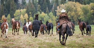 Round Up Color Awards Winners and Nominees