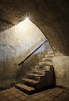 Cellar Stairs Color Awards Winners and Nominees