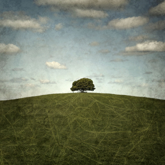 Lone Tree Color Awards Winners and Nominees