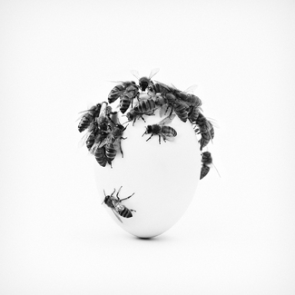 after Avedon Color Awards Winners and Nominees