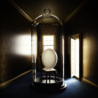 after Lachapelle Color Awards Winners and Nominees