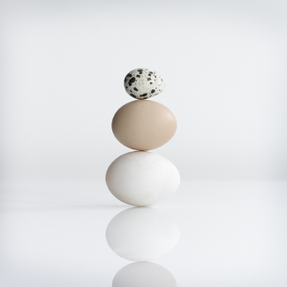 after Penn Color Awards Winners and Nominees