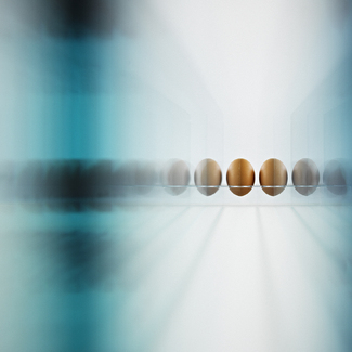 after Richter Color Awards Winners and Nominees