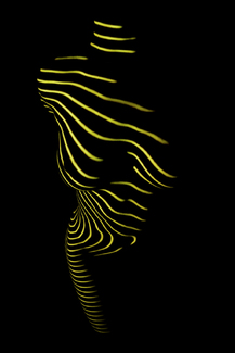 lines Color Awards Winners and Nominees