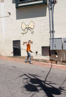 Maine Monster Color Awards Winners and Nominees