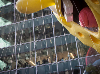 SpongeBob on Parade Color Awards Winners and Nominees